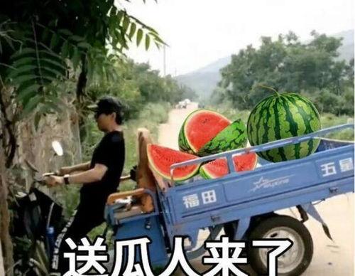 admin 第32页